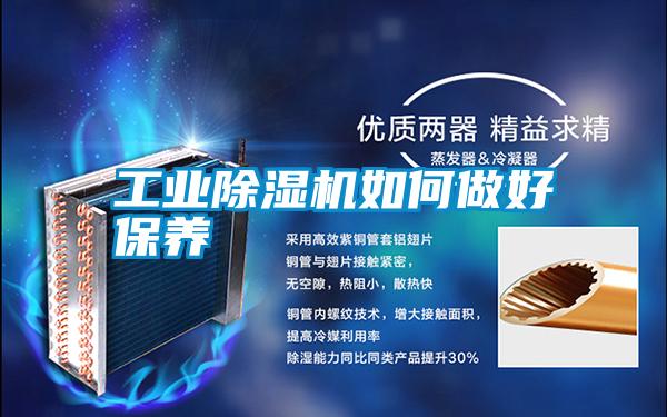 宝马电子游戏平台网址
如何做好保养