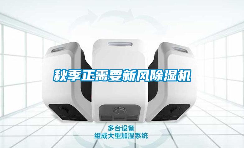秋季正需要新风除湿机