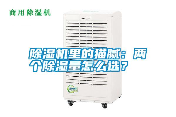 除湿机里的猫腻：两个除湿量怎么选？