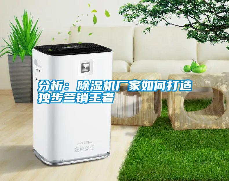 分析：宝马电子游戏娱乐
如何打造独步营销王者