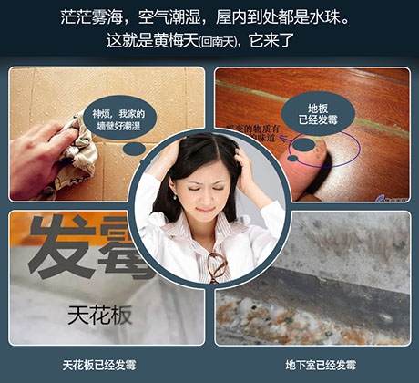 如何了解转轮除湿机的运行性能？