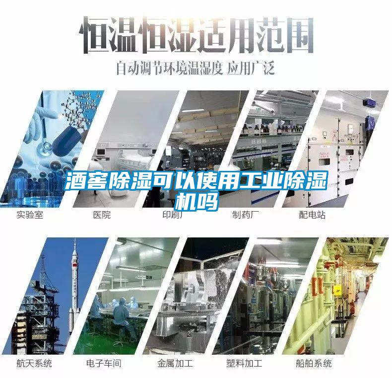 酒窖除湿可以使用宝马电子游戏平台网址
吗