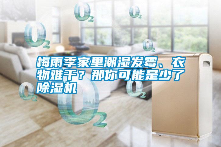梅雨季家里潮湿发霉、衣物难干？那你可能是少了除湿机