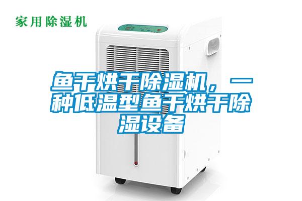 鱼干烘干除湿机，一种低温型鱼干烘干除湿设备