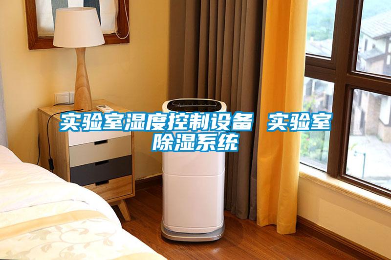 实验室湿度控制设备 实验室除湿系统