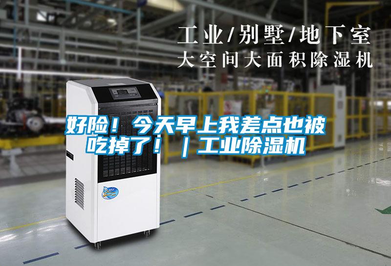 好险！今天早上我差点也被吃掉了！｜宝马电子游戏平台网址
