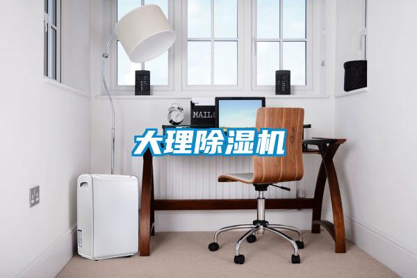 大理除湿机