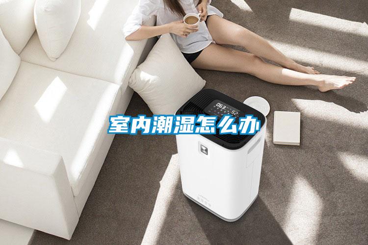 室内潮湿怎么办