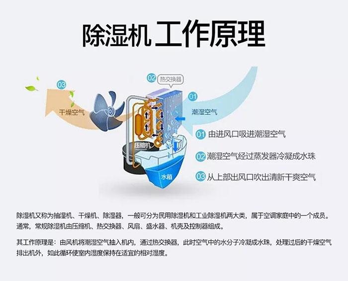 如何买到好的除湿机？找优质宝马电子游戏娱乐
