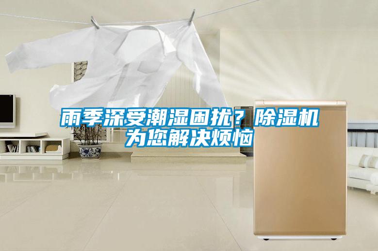 雨季深受潮湿困扰？除湿机为您解决烦恼