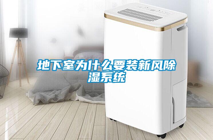 地下室为什么要装新风除湿系统