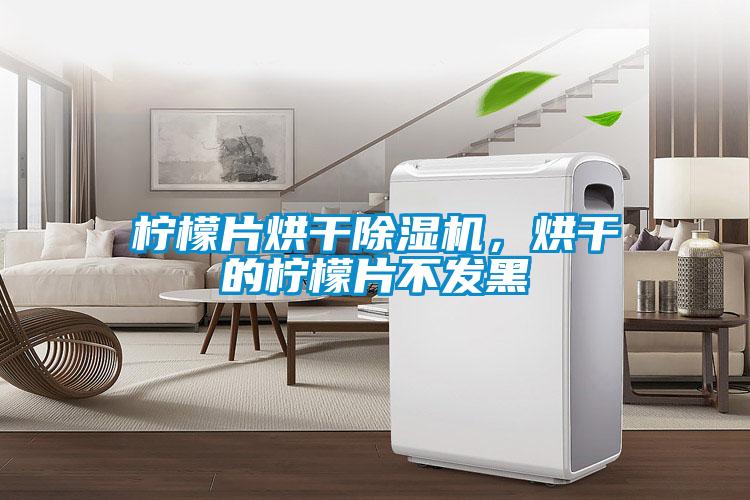 柠檬片烘干除湿机，烘干的柠檬片不发黑