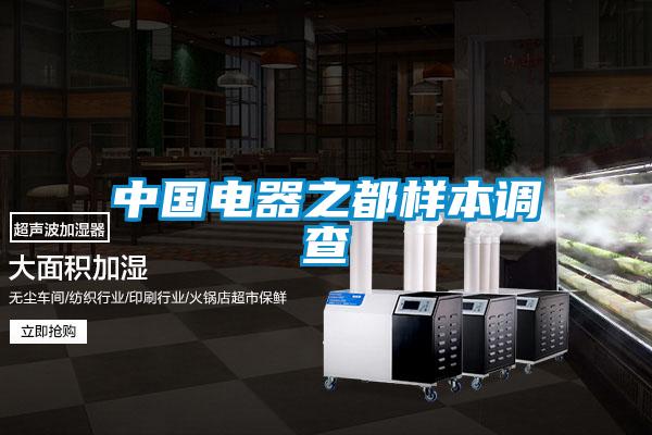 中国电器之都样本调查