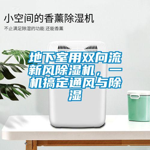 地下室用双向流新风除湿机，一机搞定通风与除湿