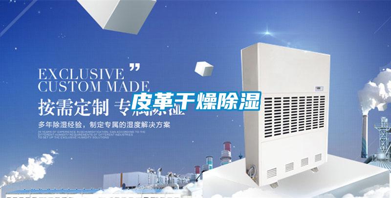 皮革干燥除湿