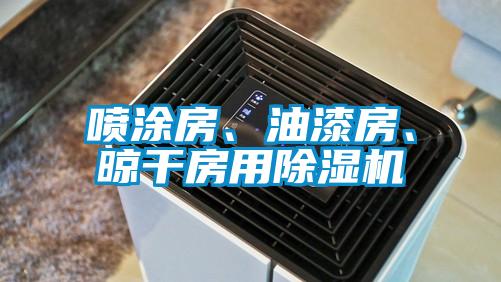 喷涂房、油漆房、晾干房用除湿机