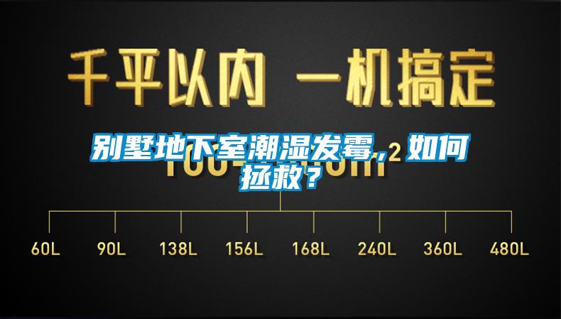 别墅地下室潮湿发霉，如何拯救？