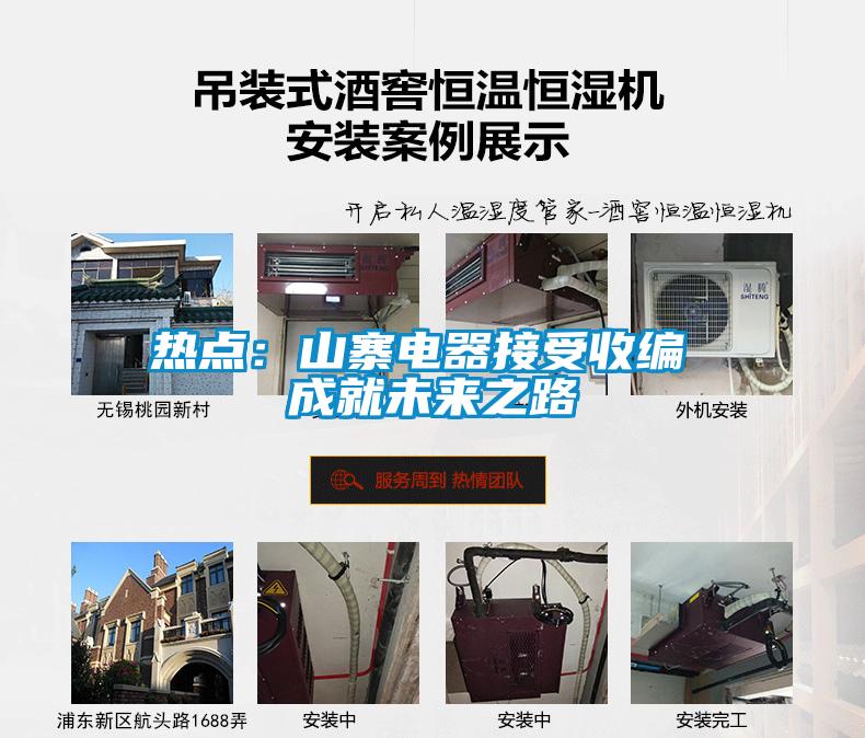 热点：山寨电器接受收编 成就未来之路