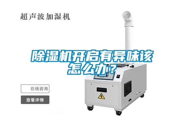 除湿机开启有异味该怎么办？