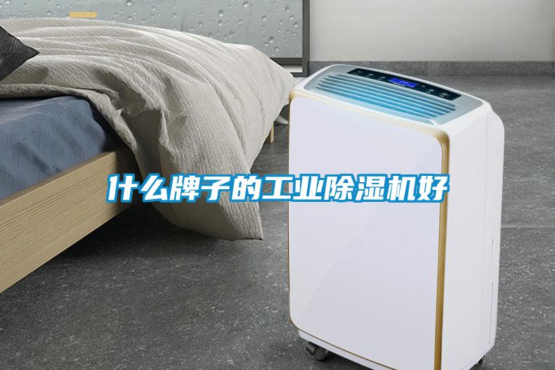 什么牌子的宝马电子游戏平台网址
好