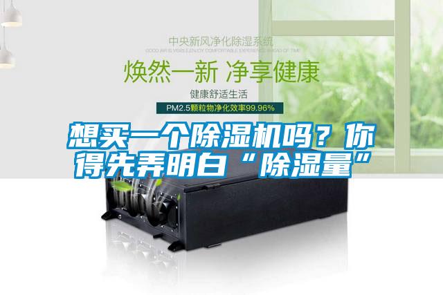 想买一个除湿机吗？你得先弄明白“除湿量”