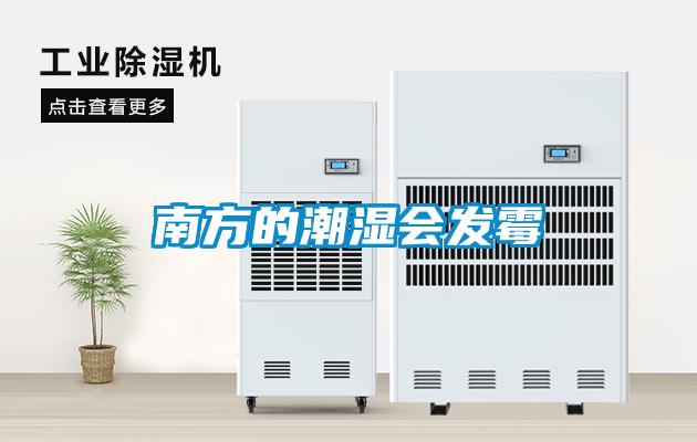 南方的潮湿会发霉