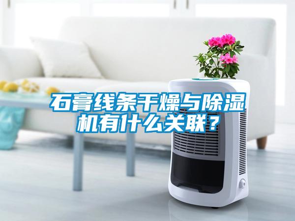 石膏线条干燥与除湿机有什么关联？