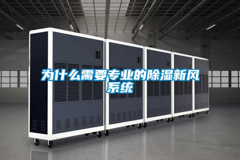 为什么需要专业的除湿新风系统