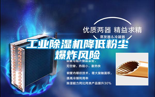 宝马电子游戏平台网址
降低粉尘爆炸风险
