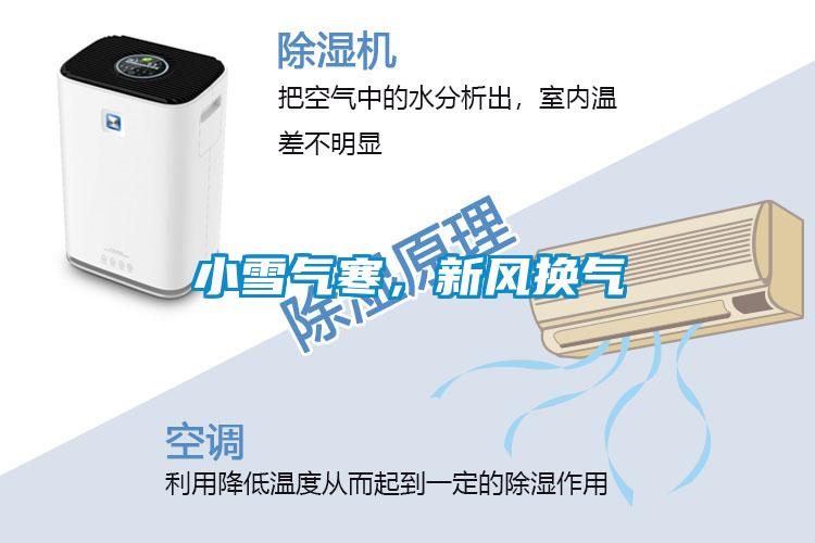 小雪气寒，新风换气