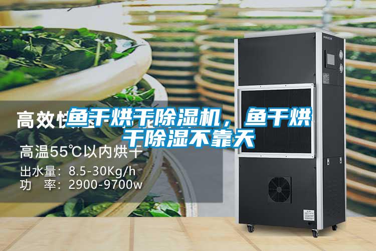 鱼干烘干除湿机，鱼干烘干除湿不靠天