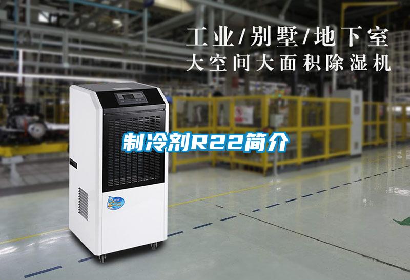 制冷剂R22简介