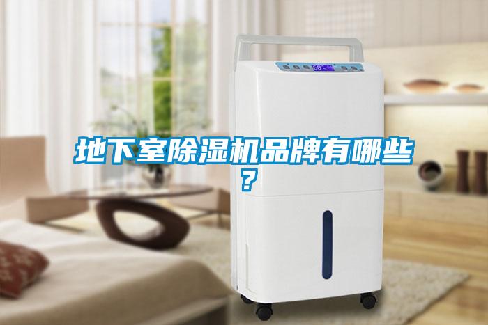 地下室除湿机品牌有哪些？