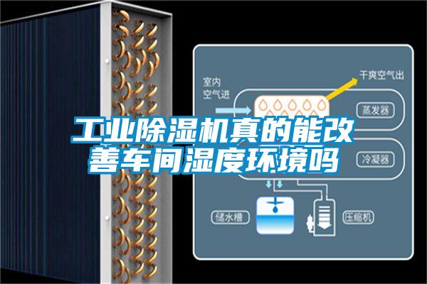 宝马电子游戏平台网址
真的能改善车间湿度环境吗