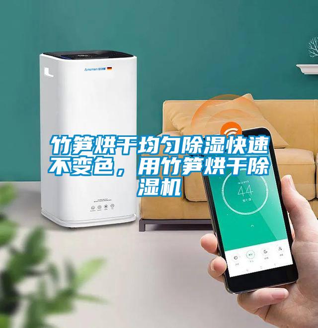 竹笋烘干均匀除湿快速不变色，用竹笋烘干除湿机