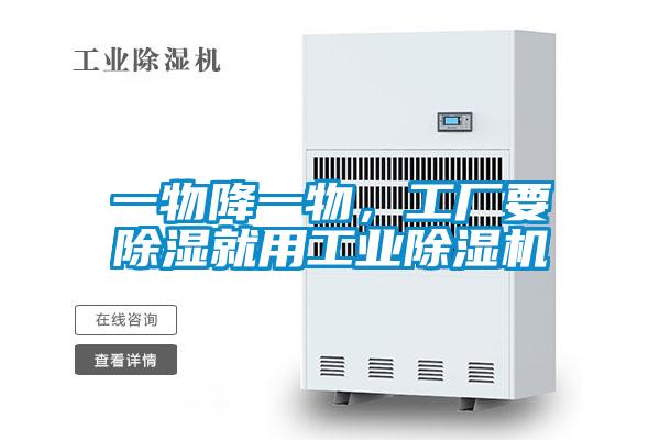 一物降一物，工厂要除湿就用宝马电子游戏平台网址
