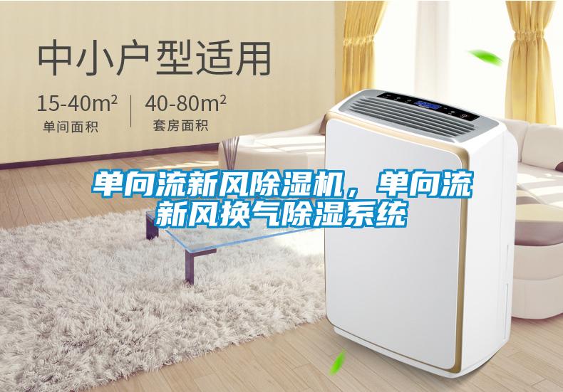 单向流新风除湿机，单向流新风换气除湿系统