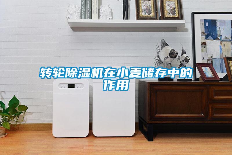 转轮除湿机在小麦储存中的作用