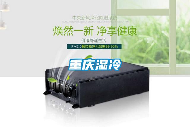 重庆湿冷