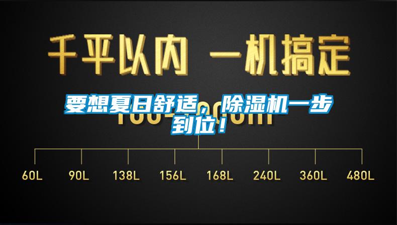 要想夏日舒适，除湿机一步到位！