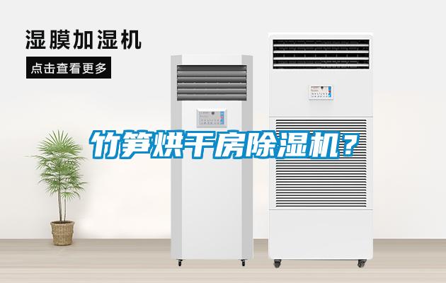 竹笋烘干房除湿机？