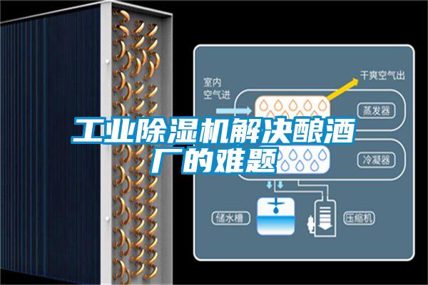 宝马电子游戏平台网址
解决酿酒厂的难题