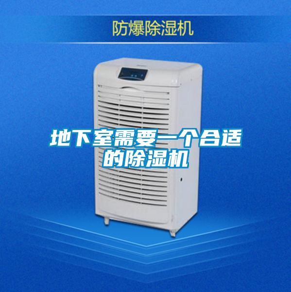 地下室需要一个合适的除湿机
