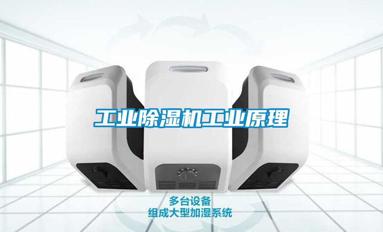 宝马电子游戏平台网址
工业原理