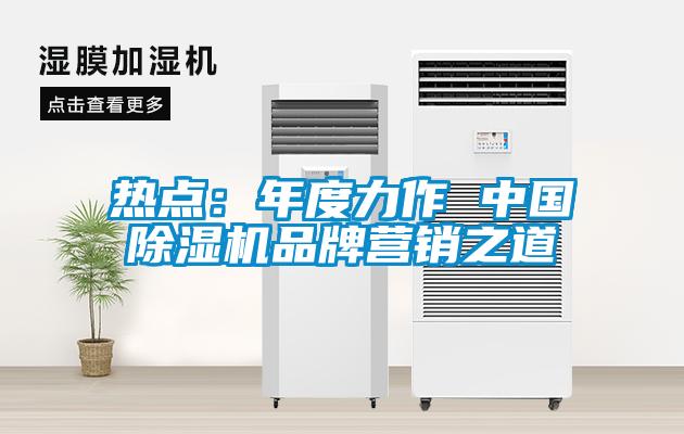 热点：年度力作 中国除湿机品牌营销之道