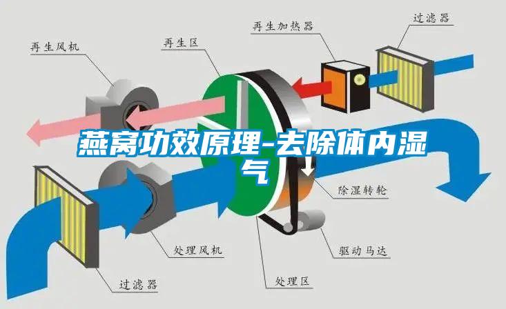 燕窝功效原理-去除体内湿气