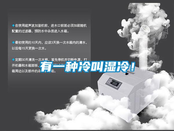 有一种冷叫湿冷！