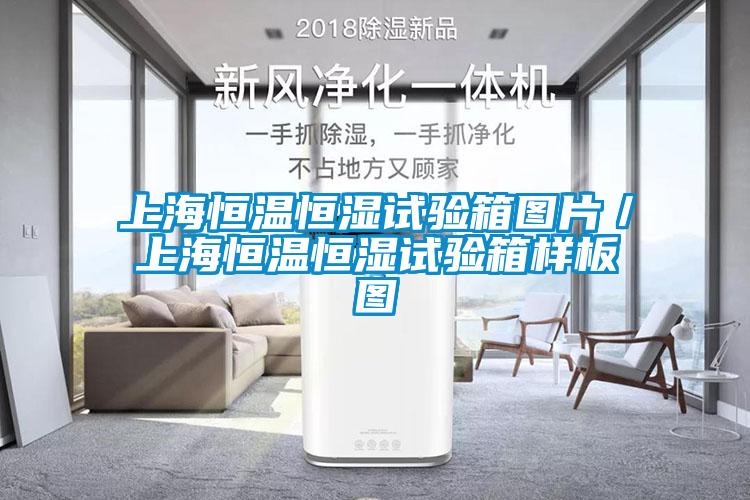 上海恒温恒湿试验箱图片／上海恒温恒湿试验箱样板图