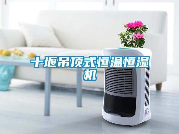 十堰吊顶式恒温恒湿机