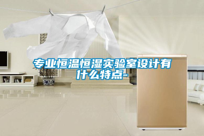 专业恒温恒湿实验室设计有什么特点-